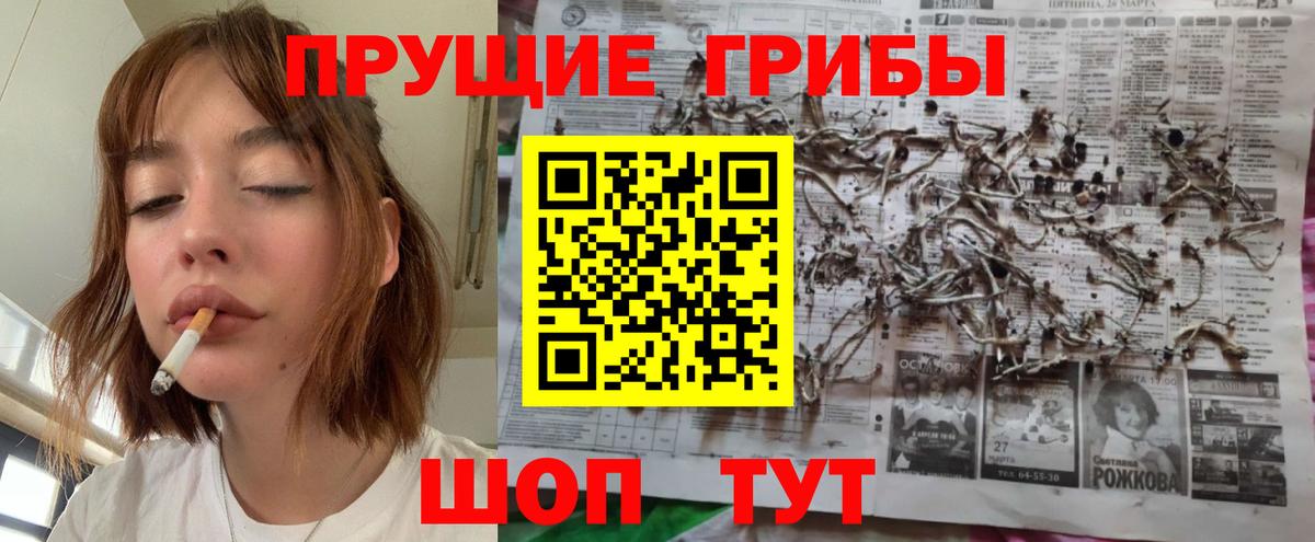купить закладку  Вход с VPN  Ржев  Галлюциногенные грибы мухоморы 