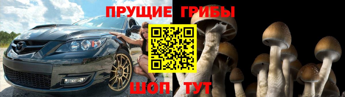 Галлюциногенные грибы прущие грибы Ржев
